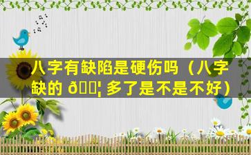 八字有缺陷是硬伤吗（八字缺的 🐦 多了是不是不好）